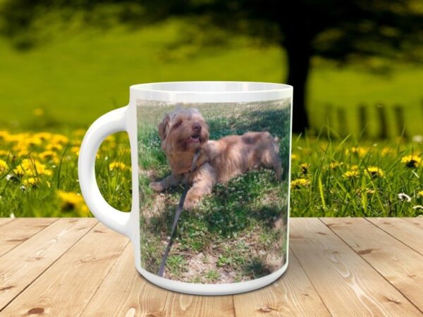 Taza personalizada para mascotas con foto - Imagen 2